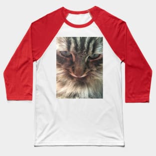 Iggie, The Adorable, Rescued Main Coon Kitten Baseball T-Shirt